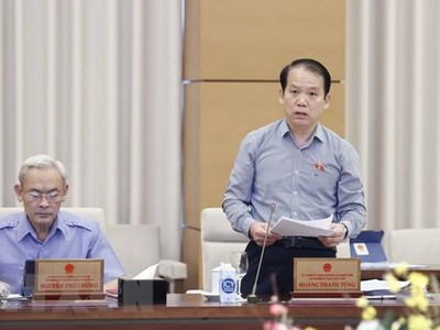 Chủ nhiệm Ủy ban Pháp luật của Quốc hội Hoàng Thanh Tùng trình bày báo cáo thẩm tra. (Ảnh: Doãn Tấn/TTXVN).