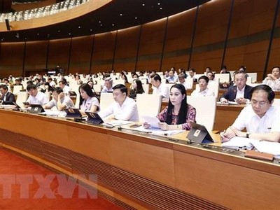 Đoàn đại biểu Quốc hội tỉnh Vĩnh Phúc dự phiên họp. (Ảnh: Doãn Tấn/TTXVN)