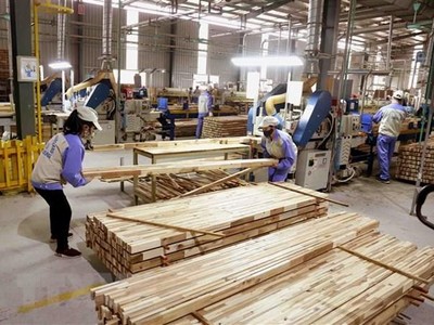 Gỗ và sản phẩm gỗ xuất khẩu sang Canada tăng trưởng tốt nhờ khai thác Hiệp định CPTPP.