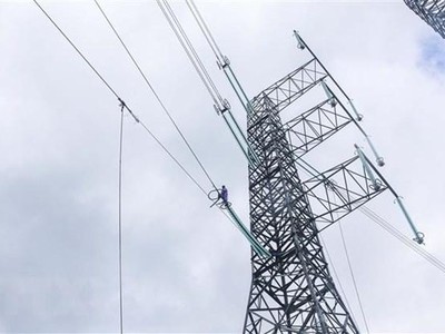 (Ảnh minh họa: Trần Lê Lâm/TTXVN).