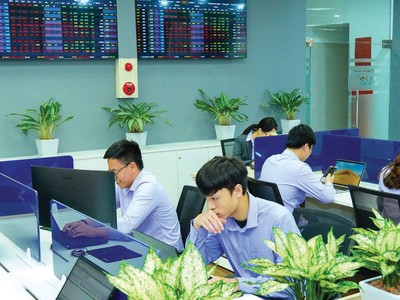 Chứng khoán Everest chuyển mình 