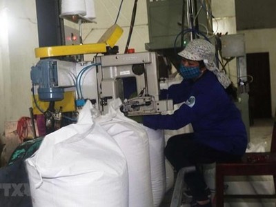 Đóng gói sản phẩm tại Nhà máy Mía đường Cao Bằng. (Ảnh: Chu Hiệu/TTXVN)