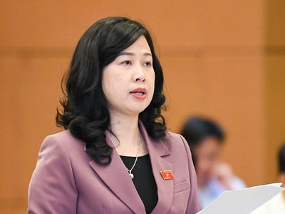 Bộ trưởng Bộ Y tế Đào Hồng Lan.