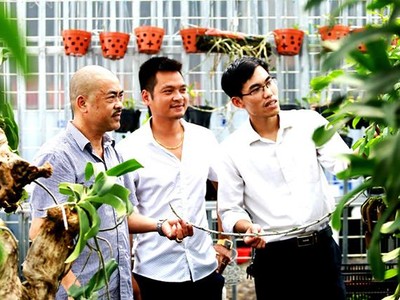 Trong thời gian thí điểm trung tâm dịch vụ nông nghiệp tại các huyện Chương Mỹ, Mê Linh và Thanh Trì, Sở Nông nghiệp và Phát triển nông thôn Hà Nội không thực hiện chức năng quản lý nhà nước về chăn nuôi và thú y, trồng trọt và bảo vệ thực vật trên địa bàn 3 huyện này. (Ảnh minh họa: Minh Thắng).