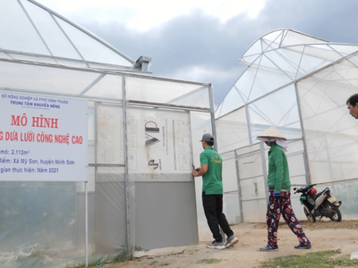 Ninh Thuận dự kiến thu hút 22 nhân lực chất lượng cao làm việc trong lĩnh vực nông nghiệp ứng dụng công nghệ cao. Ảnh minh họa.