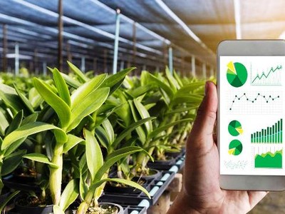 Chuyển đổi số giúp nông nghiệp mở thị trường xuất khẩu