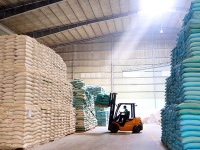 Gạo đang có cơ hội xuất khẩu lớn khi thị trường mở rộng và giá tăng. Ảnh: Dũng Minh.