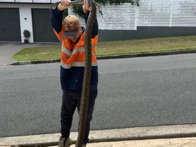 Người đàn ông đang tắm bỗng nhiên "sợ tím mặt" vì phát hiện thấy vật này