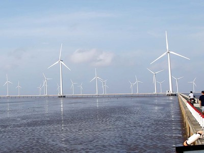 Đầu tư điện gió tại Cần Giờ: Thêm dự án “khủng” được đề xuất