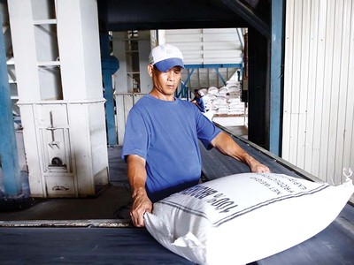 Ngành sản xuất lúa gạo đang tiếp tục được điều chỉnh theo hướng giảm sản lượng, tăng chất lượng, với các chủng loại gạo cao cấp Ảnh: Đức Thanh.