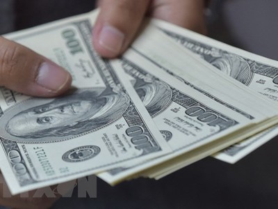 Đồng tiền mệnh giá 100 đô la Mỹ. (Ảnh: AFP/TTXVN)