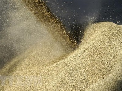 Chất ngũ cốc lên tàu để đưa đi xuất khẩu tại cảng Rostov-on-Don, Nga ngày 11/6/2022. (Ảnh: AFP/TTXVN)