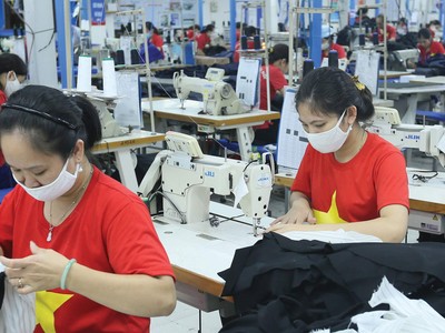 Kinh tế Việt Nam và một số thị trường xuất khẩu lớn đang dần phục hồi, mang lại triển vọng sáng cho nhiều lĩnh vực.