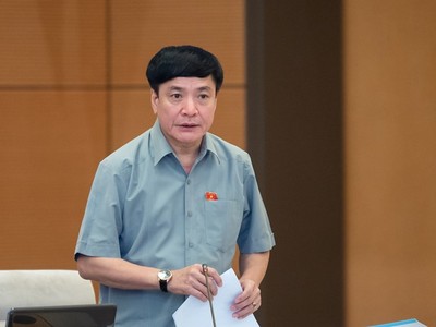 Tổng thư ký Quốc hội Bùi Văn Cường phát biểu tại phiên thảo luận.