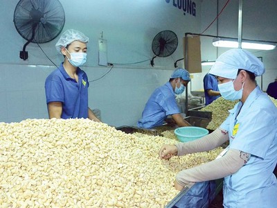 Doanh nghiệp Việt đã nhận được tiền hàng của 4/5 container nông sản trong vụ việc xuất khẩu sang thị trường UAE.