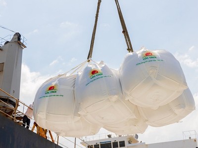 Cả nước hiện có 170 thương nhân đủ điều kiện kinh doanh xuất khẩu gạo.