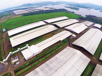 Toàn cảnh Cụm trang trại chăn nuôi bò sữa tập trung ứng dụng công nghệ cao lớn nhất châu Á