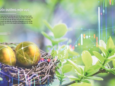 Hình ảnh và nội dung minh họa được chọn từ Báo cáo thường niên BVSC, doanh nghiệp có chất lượng báo cáo thường niên trong TOP 10 liên tục từ 2014-2016