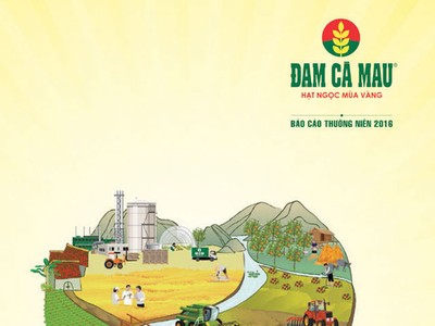 Đạm Cà Mau sát cánh cùng những mùa vàng bội thu