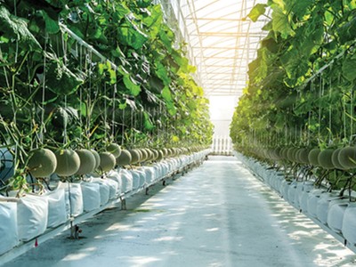 Vinaseed, mạch sống lan tỏa năng lượng vô hạn