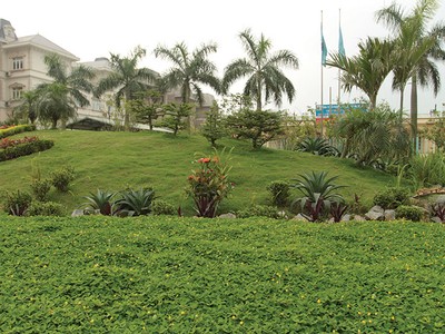 Trong năm 2018, Lideco sẽ đẩy mạnh kế hoạch bán hàng tại nhiều dự án như Dự án Bắc 32, Chung cư Lideco Hạ Long… 