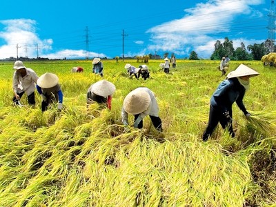 Với TPP, lĩnh vực chịu tác động lớn nhất sẽ là nông nghiệp, cơ hội và thách thức lớn nhất cũng ở đây