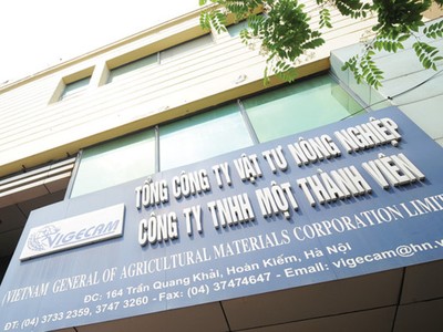 IPO Vigecam: 22 nhà đầu tư tham gia, lượng đặt mua bằng 132% lượng chào bán