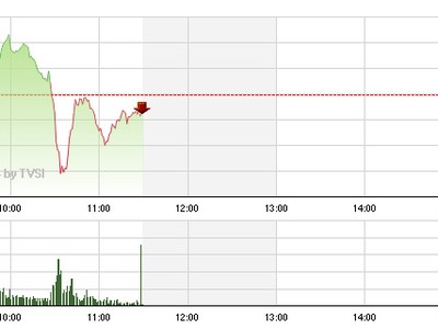 Phiên sáng 22/1: Đứt phanh đột ngột giữa dốc