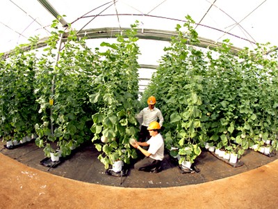 Thành lập Khu Công nghệ cao công nghệ sinh học Đồng Nai