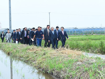 Ảnh: VGP/Quang Hiếu