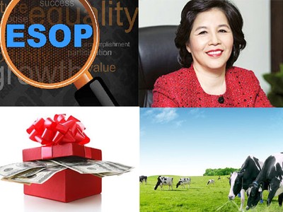 ESOP tại doanh nghiệp Việt: Lãnh đạo triệu USD, nhân viên dăm tỷ