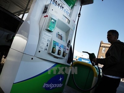 Ảnh minh họa. (TTXVN)