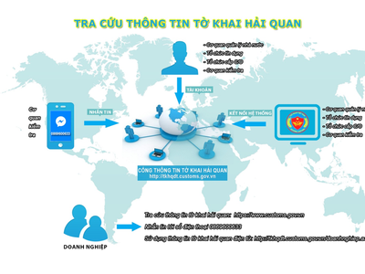 Sơ đồ tra cứu thông tin Công thông tin tờ khai điện tử.