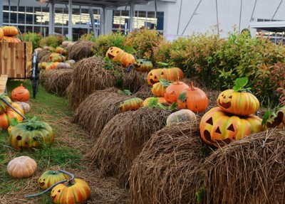 Gợi ý một số địa điểm: Crescent mall (quận 7), Aeon mall (quận Tân Phú, quận Bình Tân), Takashimaya (quận 1)... Ảnh minh họa: Thanh Tuyết.