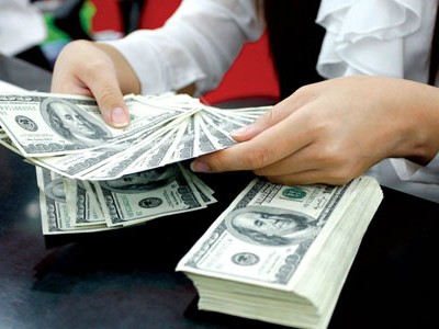 Cho vay bằng ngoại tệ tăng mạnh 10 tháng đầu năm. Ảnh:PV.