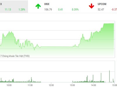 Phiên chiều 13/10: Large Cap hợp sức “nhấc bổng” VN-Index lên đỉnh mới