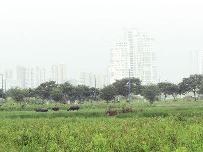 Điều chỉnh thu tiền thuê đất, thuê mặt nước