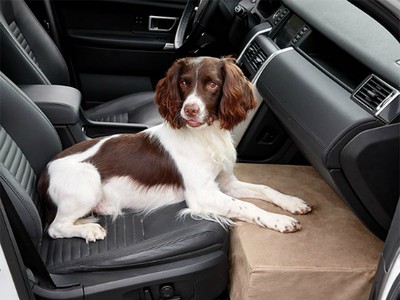 Những phụ kiện xe hơi dành cho chó