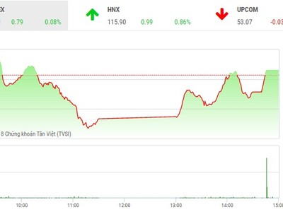 Phiên chiều 15/6: Thoát hiểm