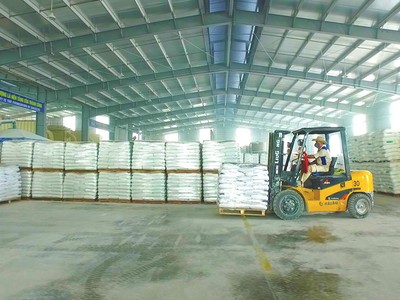 Dây chuyền Filler Masterbatch chạy hết công suất, Nhựa Pha Lê báo lãi 31 tỷ đồng 6 tháng đầu năm