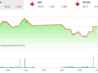 Phiên chiều 25/3: Hàng trăm mã giảm giá, VN-Index mất hơn 18 điểm