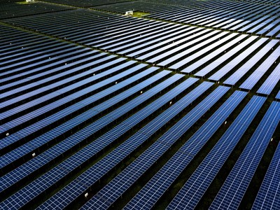 Sao Mai Solar - Hoa mặt trời trên dãy Thất Sơn.