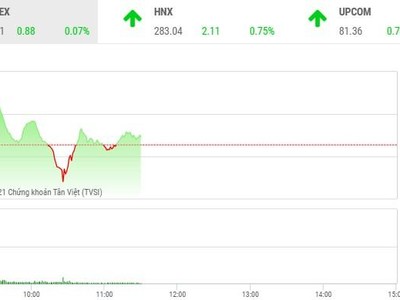 Giao dịch chứng khoán phiên sáng 6/5: Thị trường phân hóa, cặp đôi FLC - ROS vào sóng mới