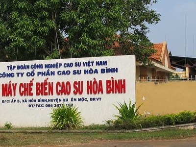 Cao su Hoà Bình (HRC) đặt mục tiêu lợi nhuận trước thuế đạt 525 triệu đồng trong quý II