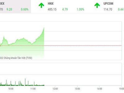 Giao dịch chứng khoán phiên sáng 6/1: Nhóm FLC duy trì sức nóng, VN-Index tăng hơn 9 điểm