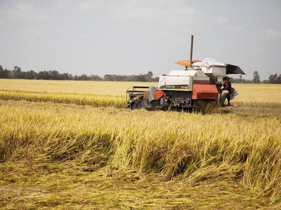 ADB cam kết hỗ trợ sáng kiến an ninh lương thực đạt 40 tỷ USD đến năm 2030