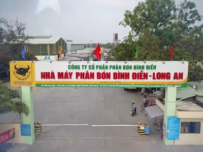 Phân bón Bình Điền (BFC) trả cổ tức tiền mặt tỷ lệ 15%