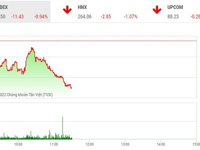 Giao dịch chứng khoán phiên sáng 21/9: Chìm trong sắc đỏ 