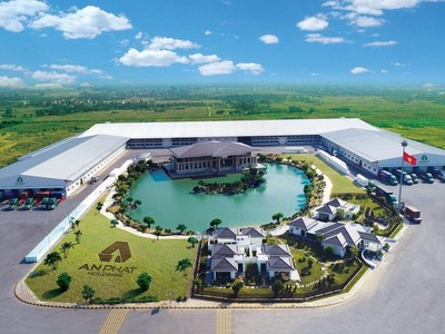 ĐHĐCĐ APH thông qua 2 phương án chuyển đổi và mua lại cổ phiếu