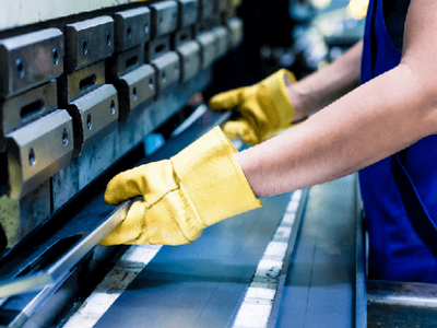 Giám đốc Hà Nội Tico lừa đảo xuất khẩu sang Nhật Bản, Đài Loan, Canada, chiếm đoạt tiền tỷ